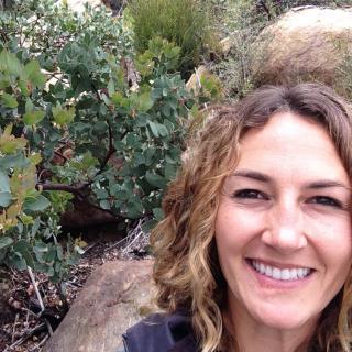Laura Drake Schultheis